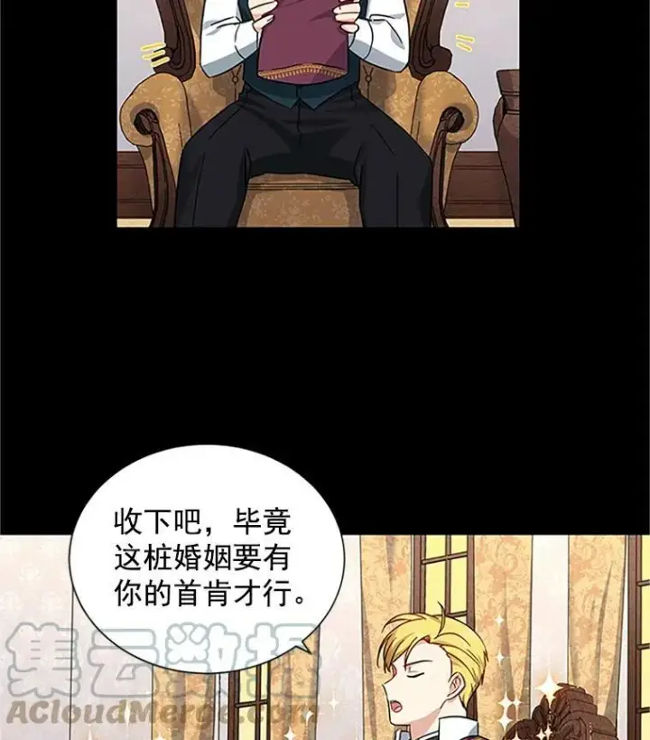 《虚名的公爵之妻》11.守护图70