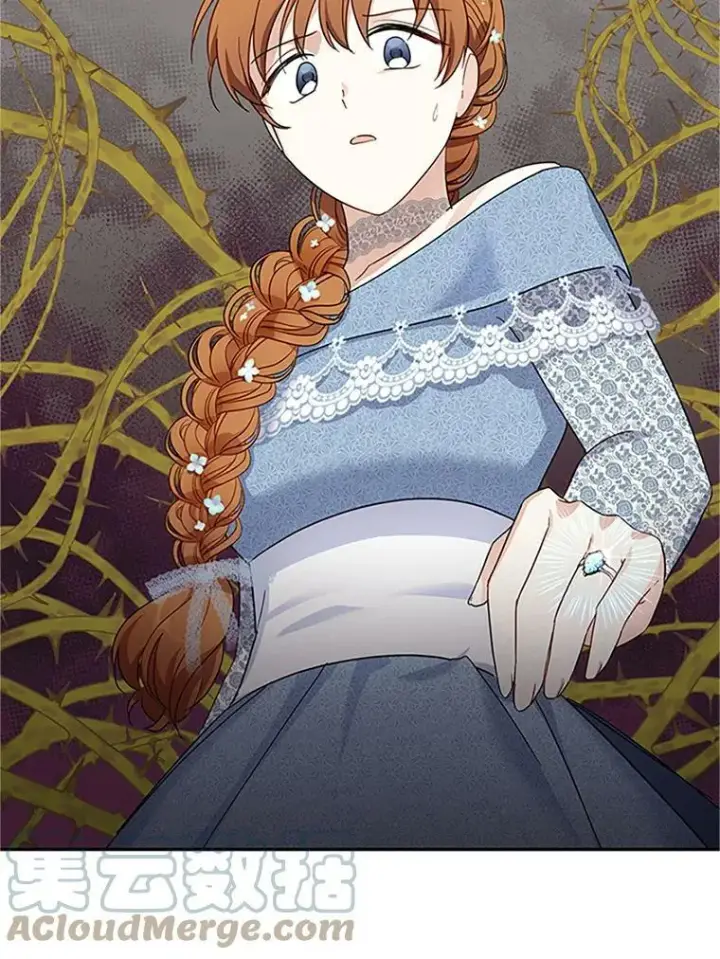 《虚名的公爵之妻》11.守护图82