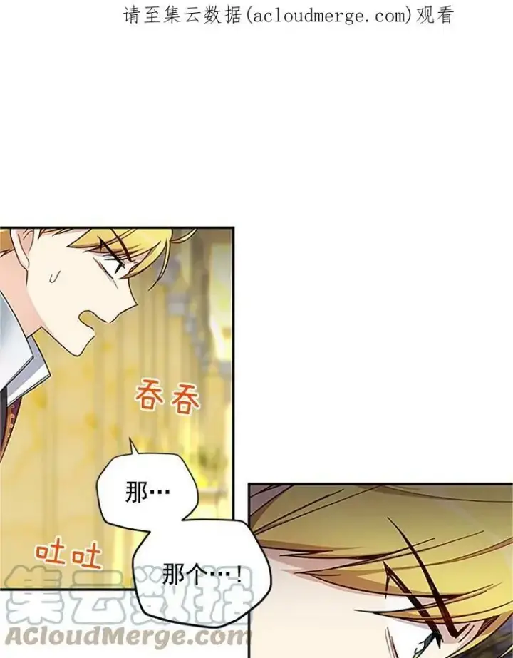 《虚名的公爵之妻》12.请求赐婚图85