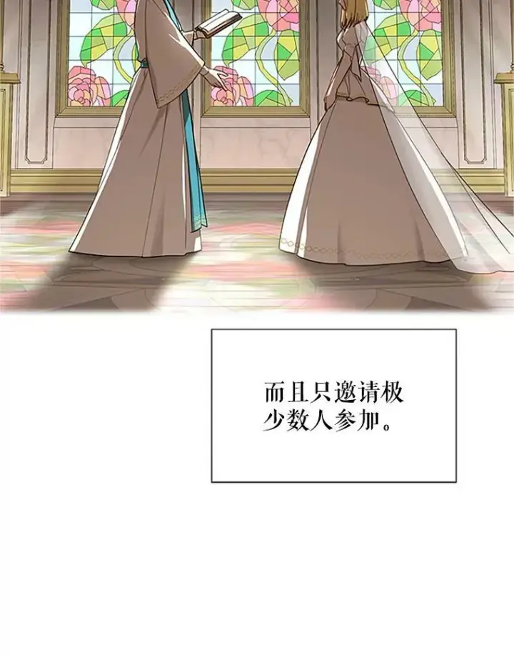 《虚名的公爵之妻》17.公主的生日宴图17