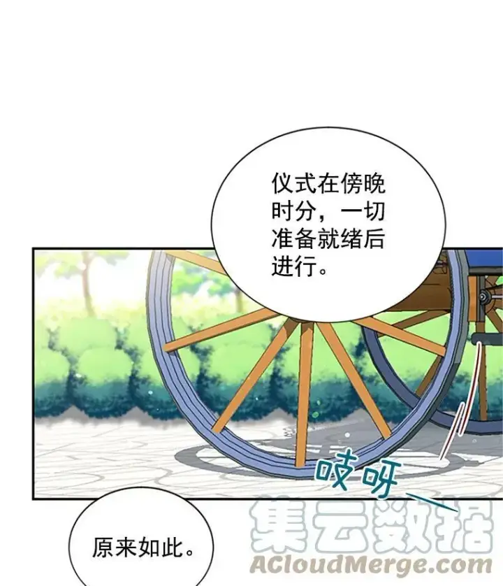 《虚名的公爵之妻》17.公主的生日宴图28