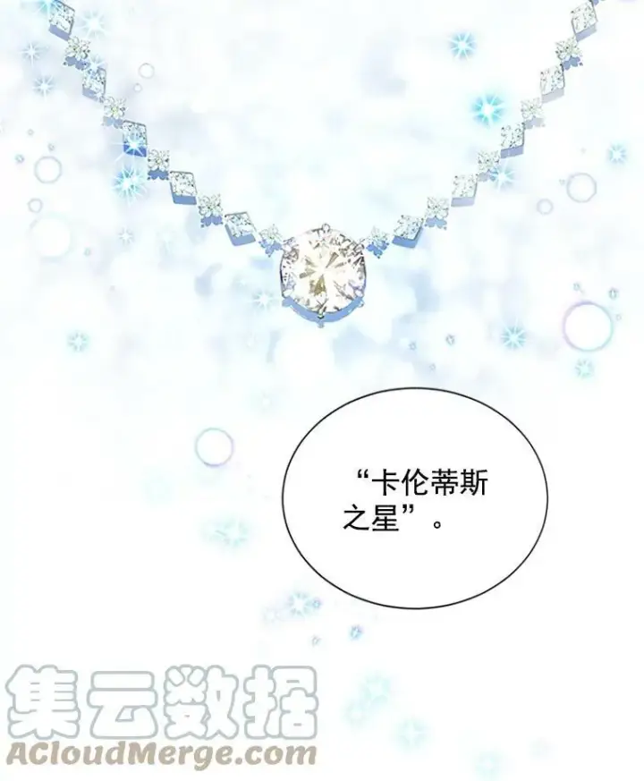 《虚名的公爵之妻》17.公主的生日宴图4