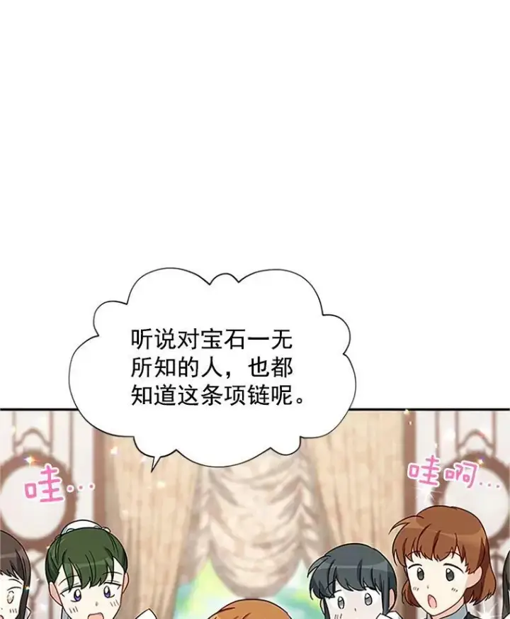 《虚名的公爵之妻》17.公主的生日宴图5