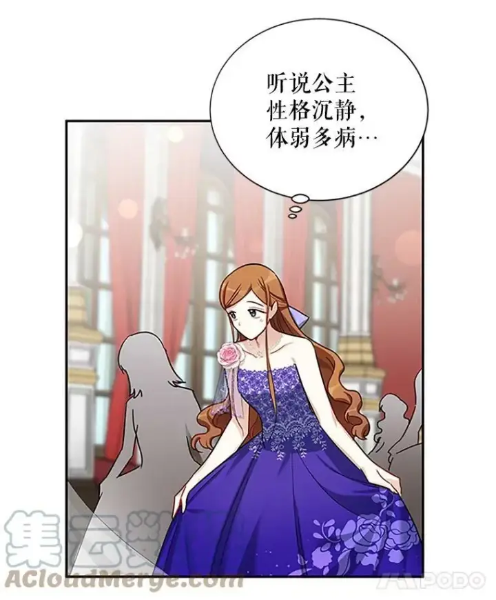《虚名的公爵之妻》17.公主的生日宴图58