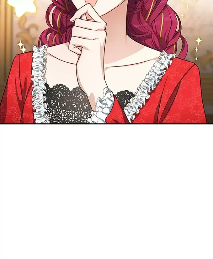 《虚名的公爵之妻》17.公主的生日宴图65