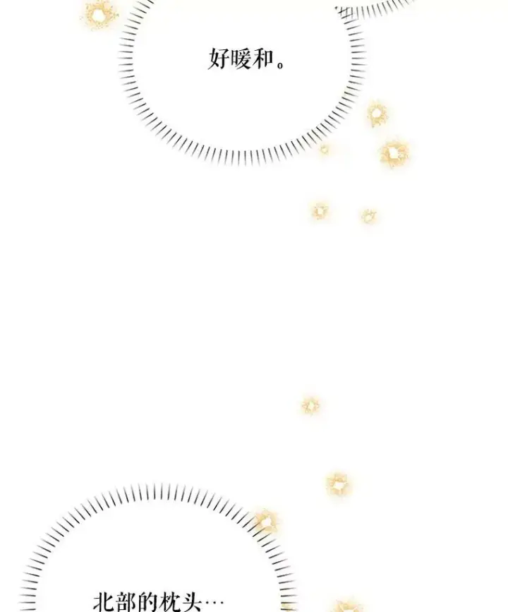 《虚名的公爵之妻》25.结婚初夜图79
