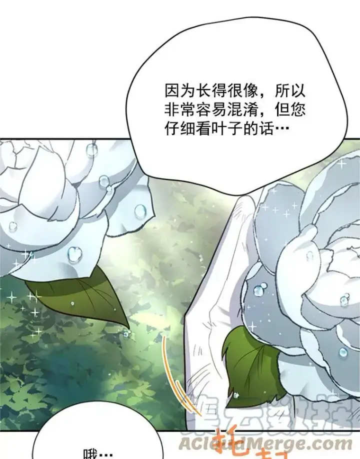 《虚名的公爵之妻》26.优秀的女主人图69