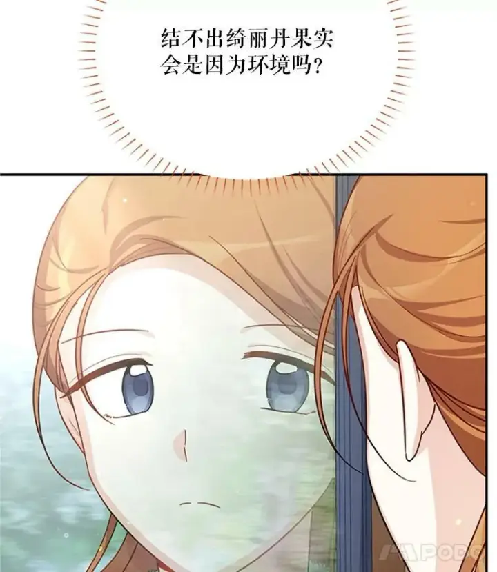 《虚名的公爵之妻》27.绮丽丹果实图108
