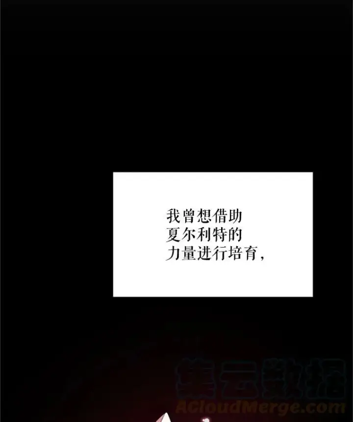《虚名的公爵之妻》27.绮丽丹果实图77