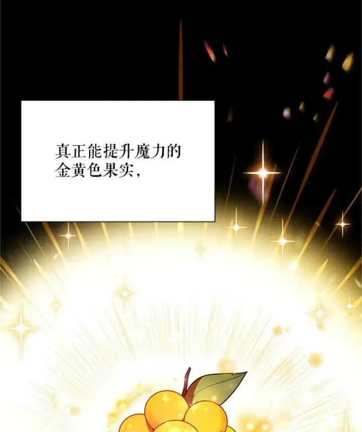 《虚名的公爵之妻》27.绮丽丹果实图80