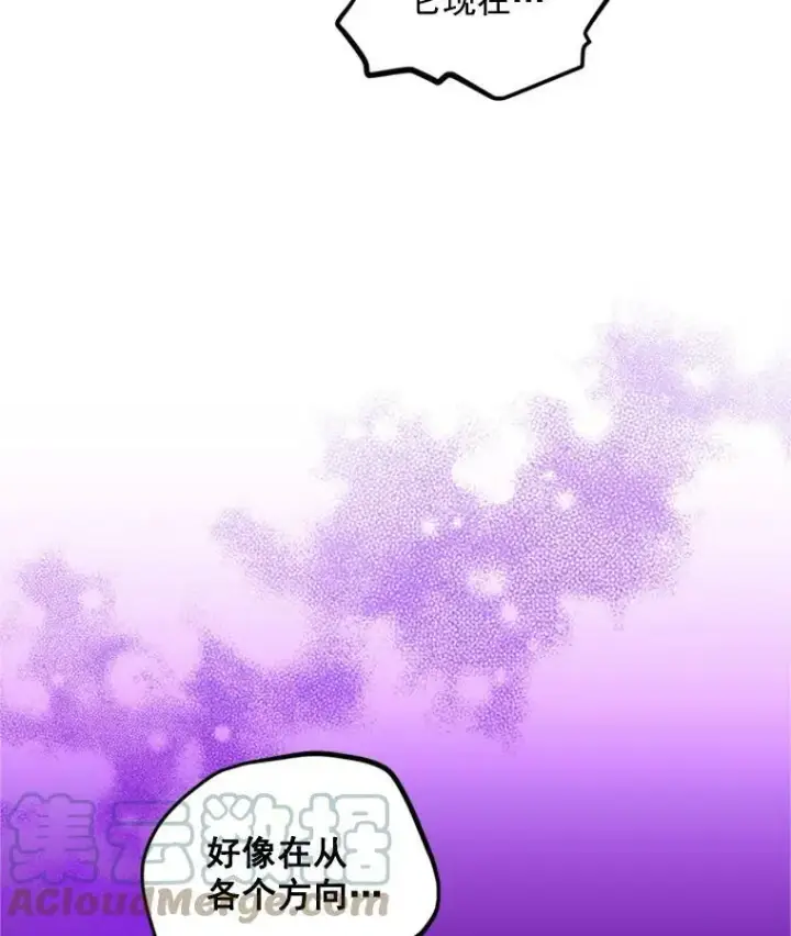 《虚名的公爵之妻》28.遭遇危险图113