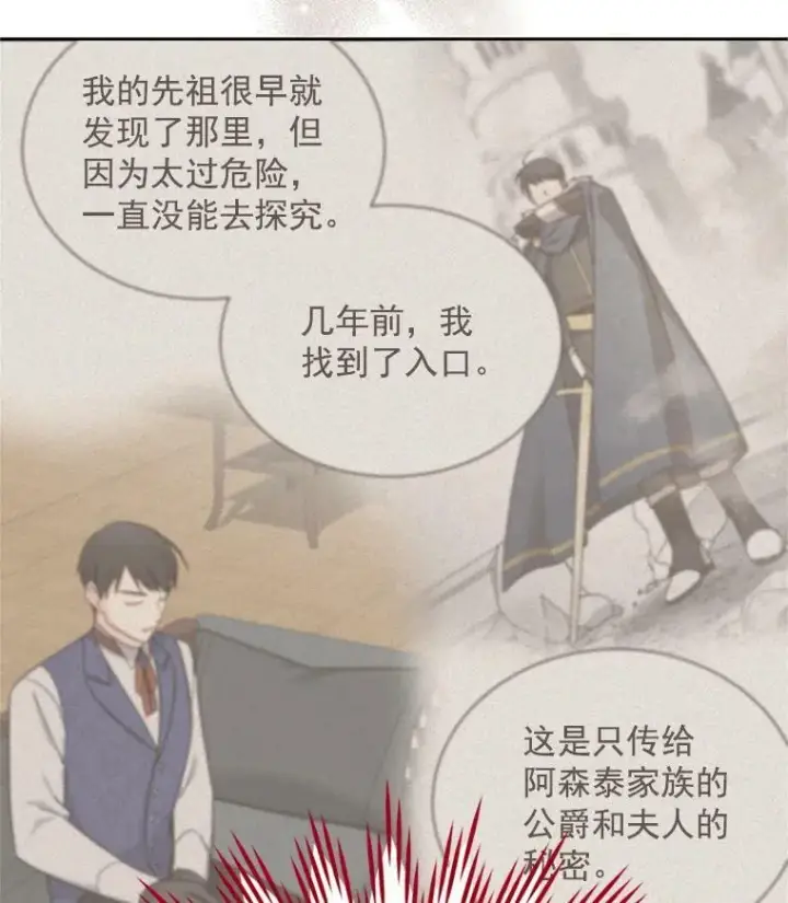 《虚名的公爵之妻》28.遭遇危险图35