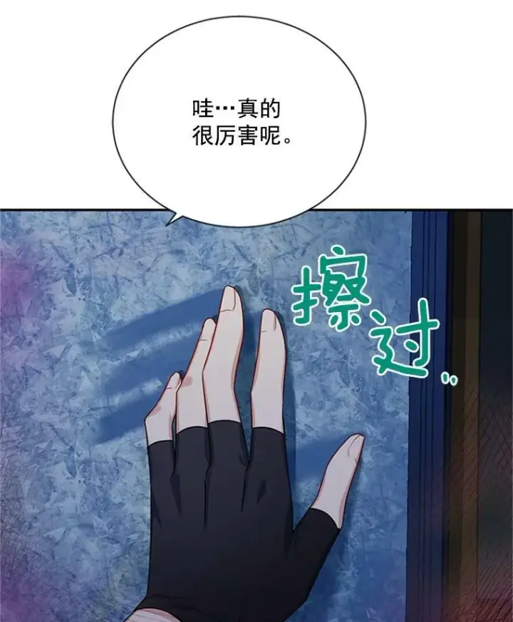 《虚名的公爵之妻》29.耗尽魔力图106