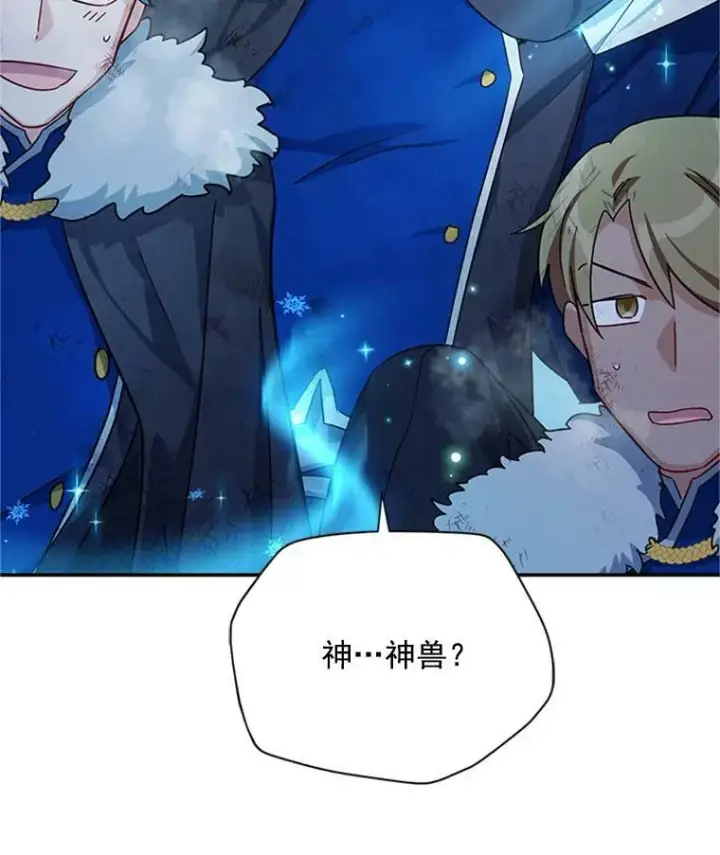 《虚名的公爵之妻》29.耗尽魔力图74