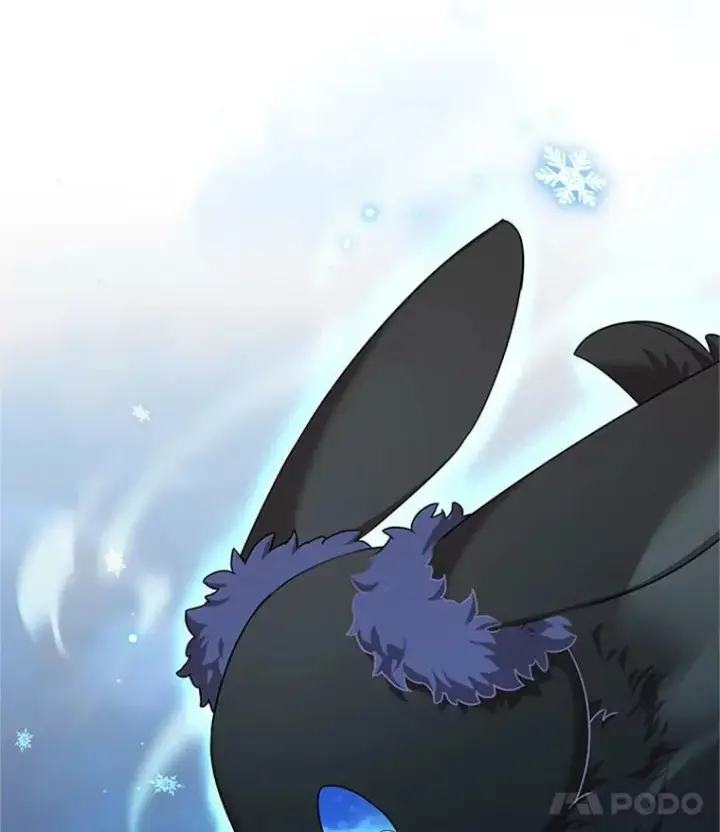 《虚名的公爵之妻》29.耗尽魔力图78