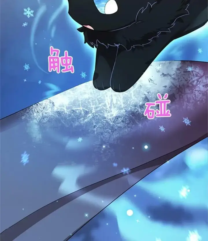 《虚名的公爵之妻》29.耗尽魔力图79