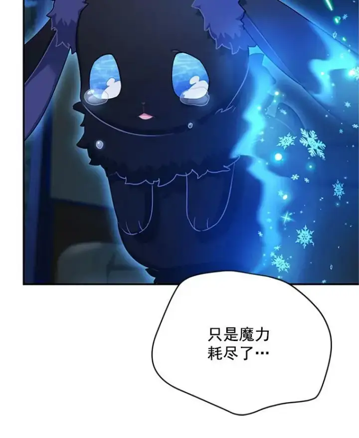 《虚名的公爵之妻》29.耗尽魔力图99