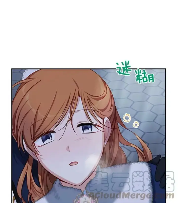《虚名的公爵之妻》30.晕倒图101