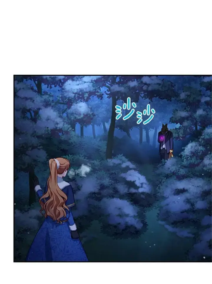 《虚名的公爵之妻》30.晕倒图42