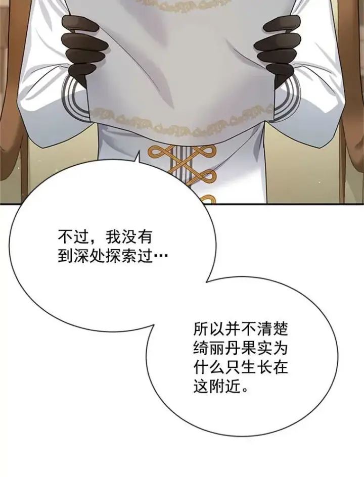 《虚名的公爵之妻》31.圣骑士巴德兰图103