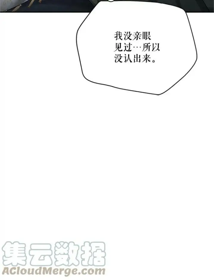 《虚名的公爵之妻》31.圣骑士巴德兰图125