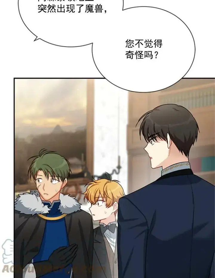 《虚名的公爵之妻》31.圣骑士巴德兰图45