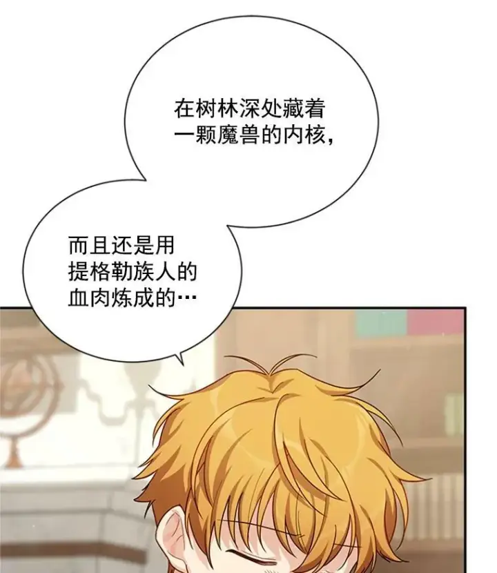 《虚名的公爵之妻》31.圣骑士巴德兰图47