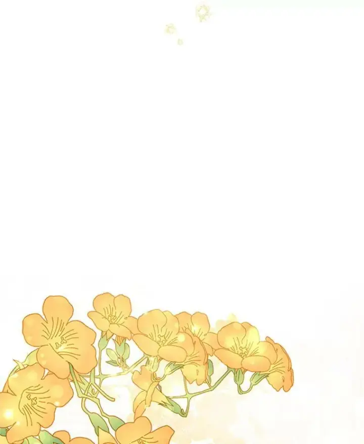 《虚名的公爵之妻》31.圣骑士巴德兰图6