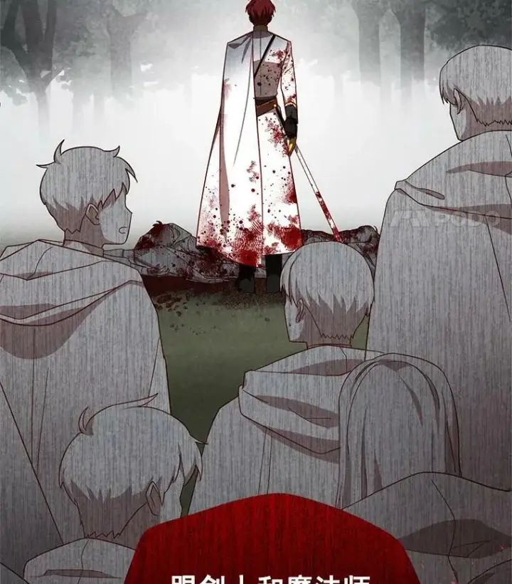 《虚名的公爵之妻》32.对召唤师的偏见图12