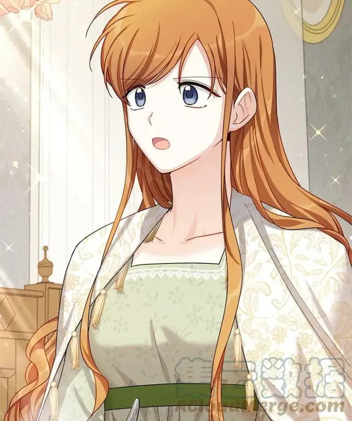 《虚名的公爵之妻》32.对召唤师的偏见图49