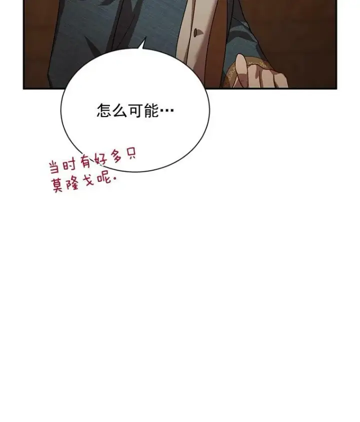 《虚名的公爵之妻》33.神秘的蒙面人图59