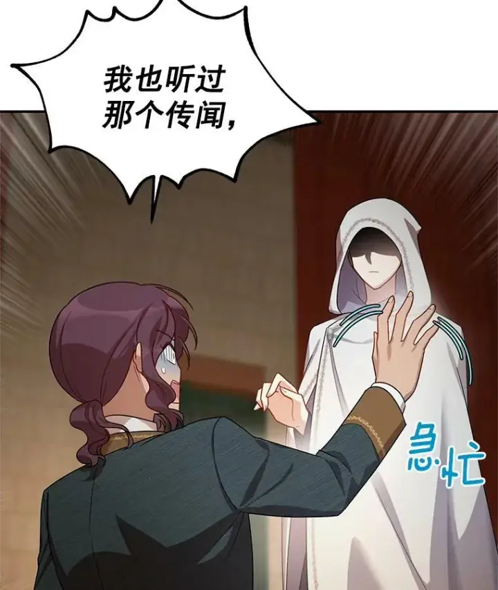《虚名的公爵之妻》33.神秘的蒙面人图66