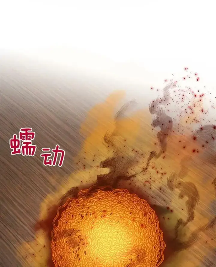 《虚名的公爵之妻》33.神秘的蒙面人图79