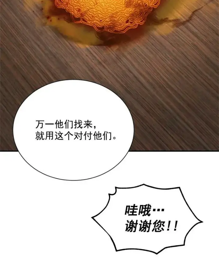 《虚名的公爵之妻》33.神秘的蒙面人图80