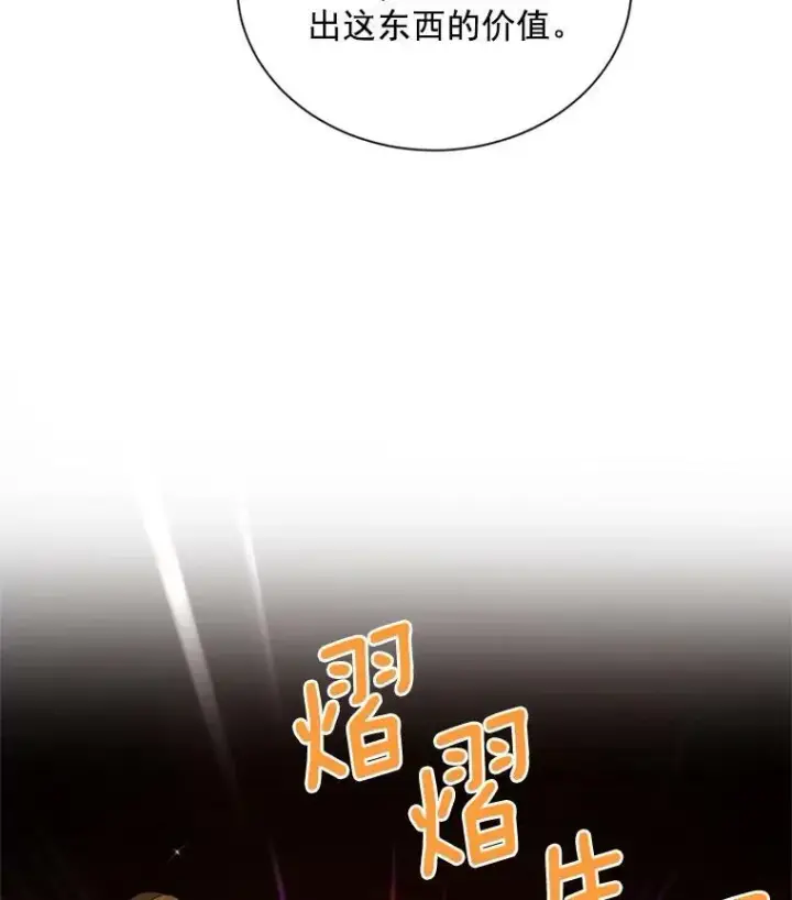 《虚名的公爵之妻》35.妈妈的胸针图103