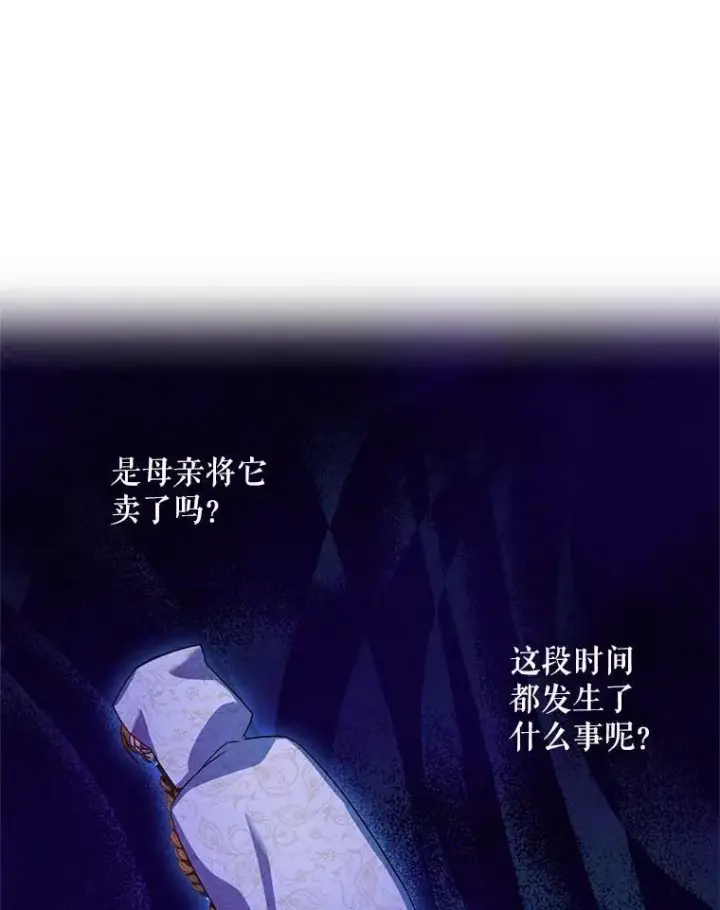《虚名的公爵之妻》35.妈妈的胸针图6