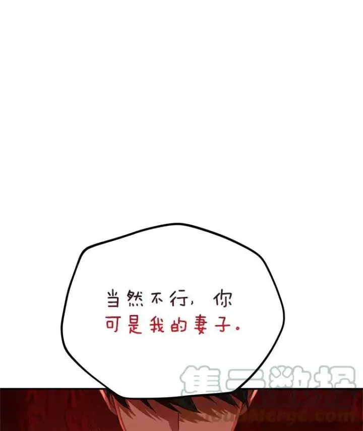 《虚名的公爵之妻》38.绮丽丹试剂图41