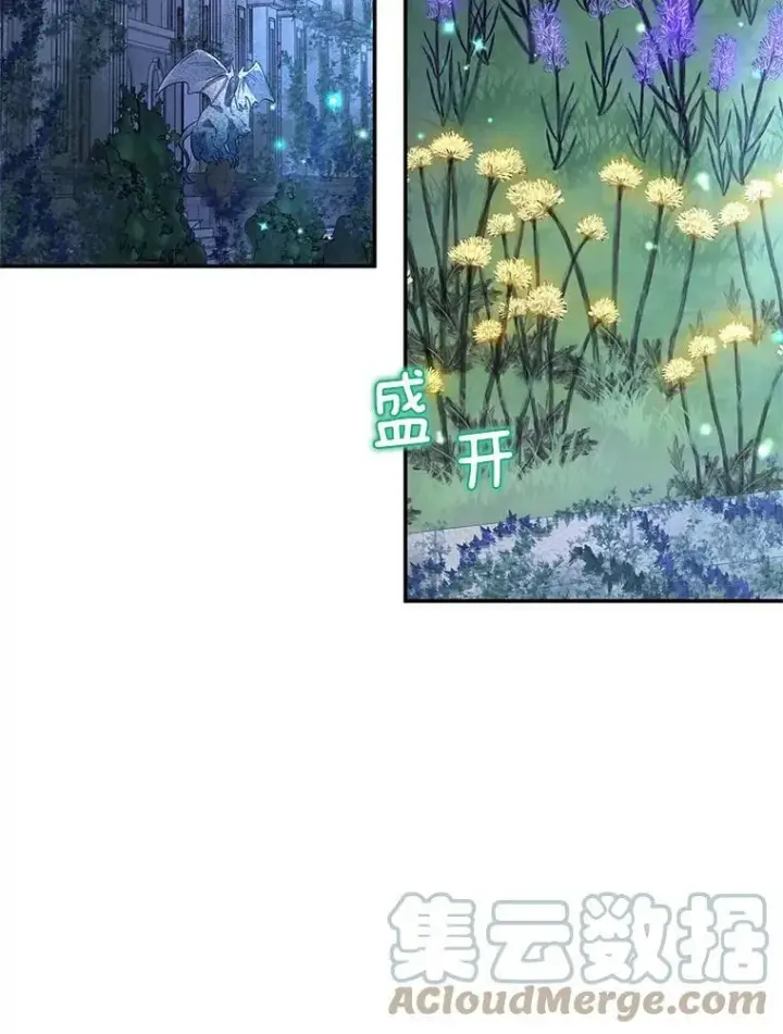 《虚名的公爵之妻》39.进入古魔法王国图37