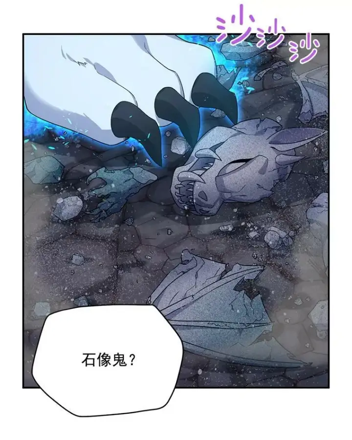 《虚名的公爵之妻》39.进入古魔法王国图64