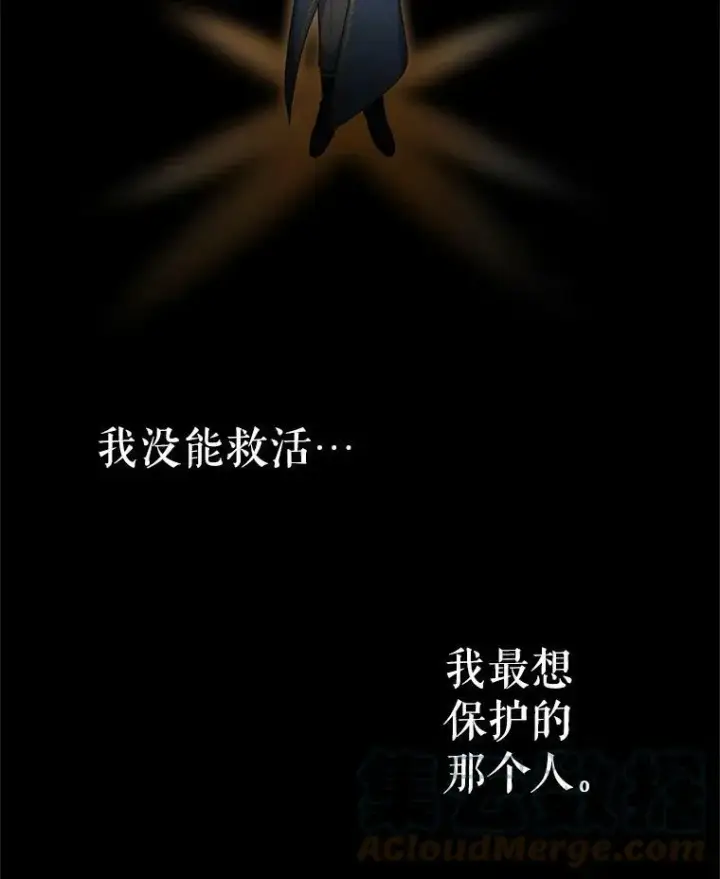 《虚名的公爵之妻》41.希望她能幸福图101