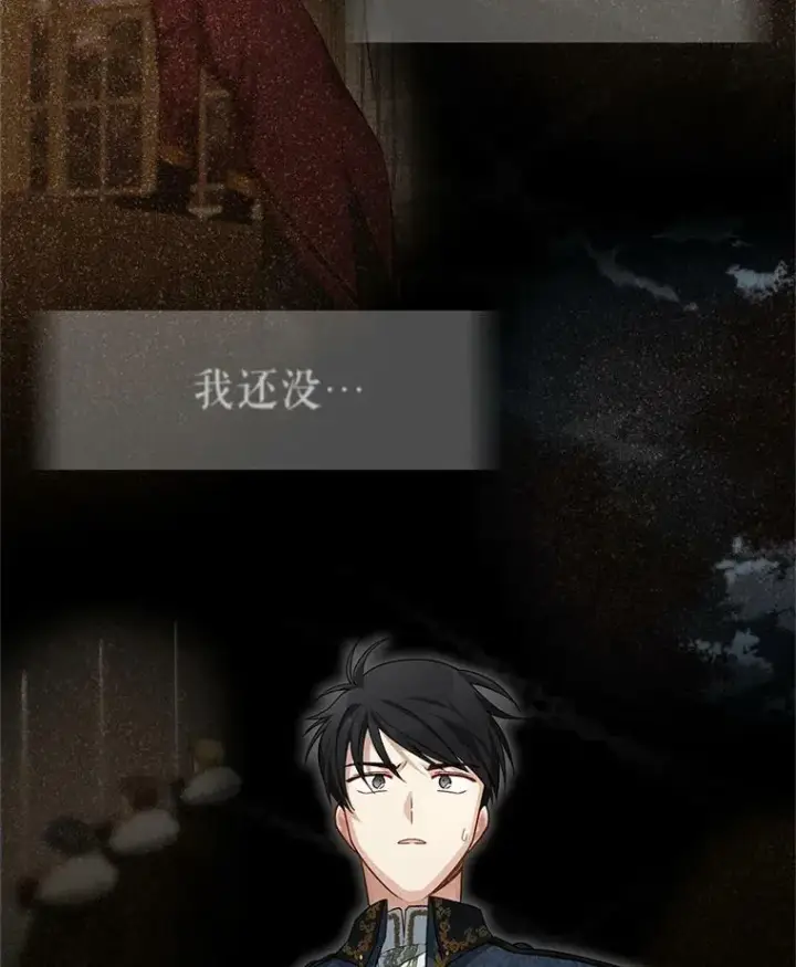 《虚名的公爵之妻》41.希望她能幸福图96