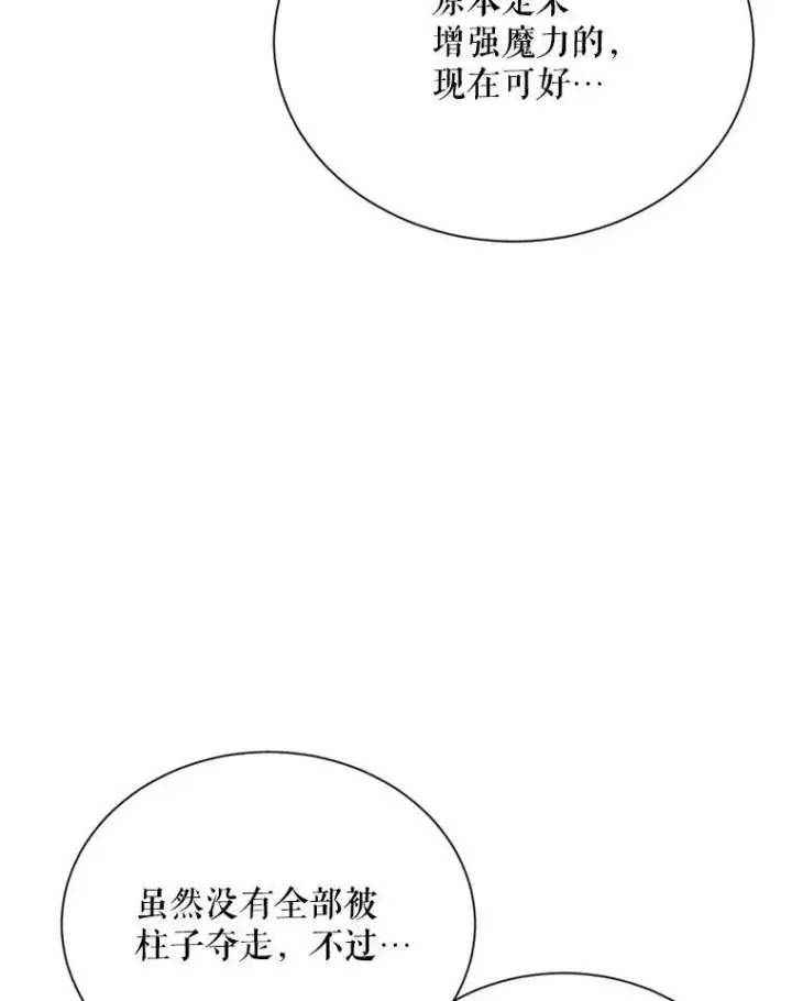 《虚名的公爵之妻》42.残忍的幻象图20