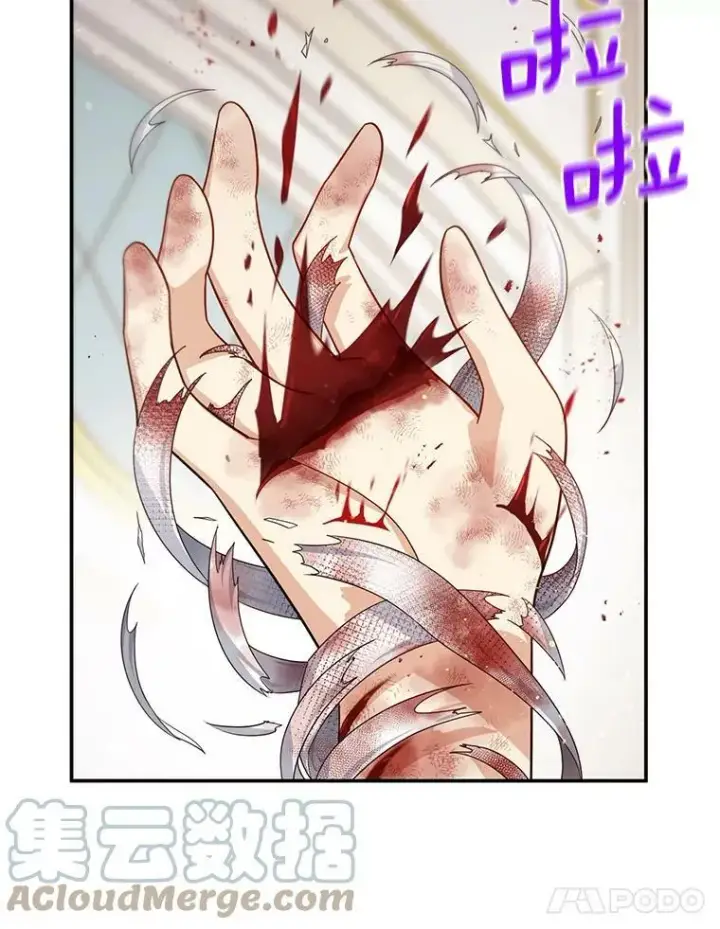 《虚名的公爵之妻》42.残忍的幻象图61
