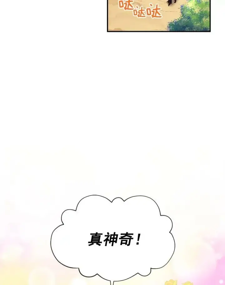 《虚名的公爵之妻》46.召唤神兽之王图18