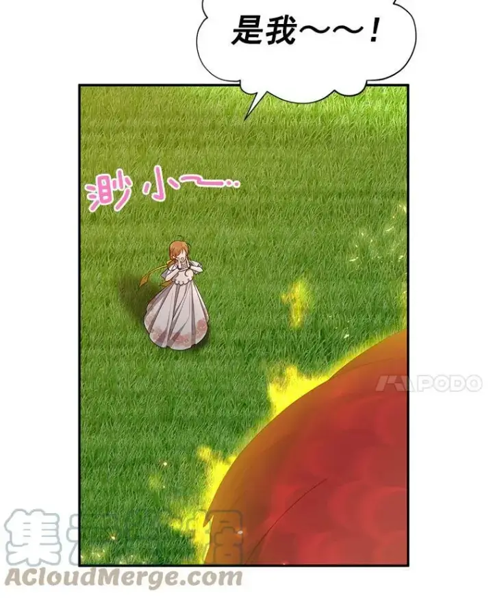 《虚名的公爵之妻》46.召唤神兽之王图57