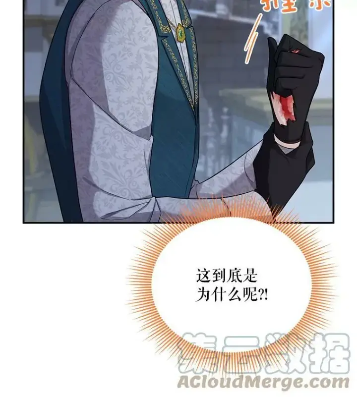 《虚名的公爵之妻》46.召唤神兽之王图9