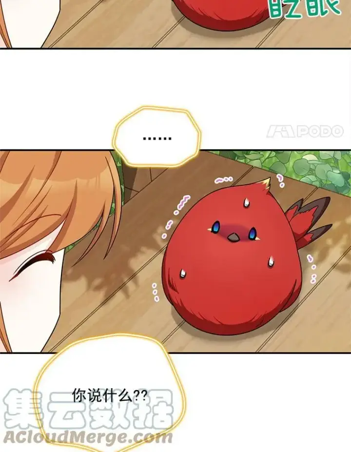 《虚名的公爵之妻》47.公主来信图4