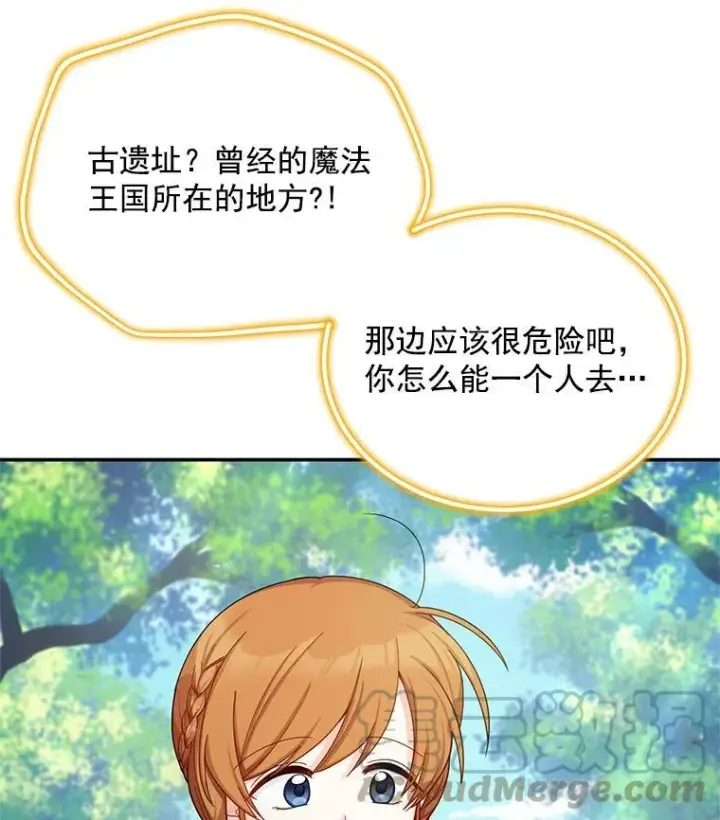 《虚名的公爵之妻》47.公主来信图52