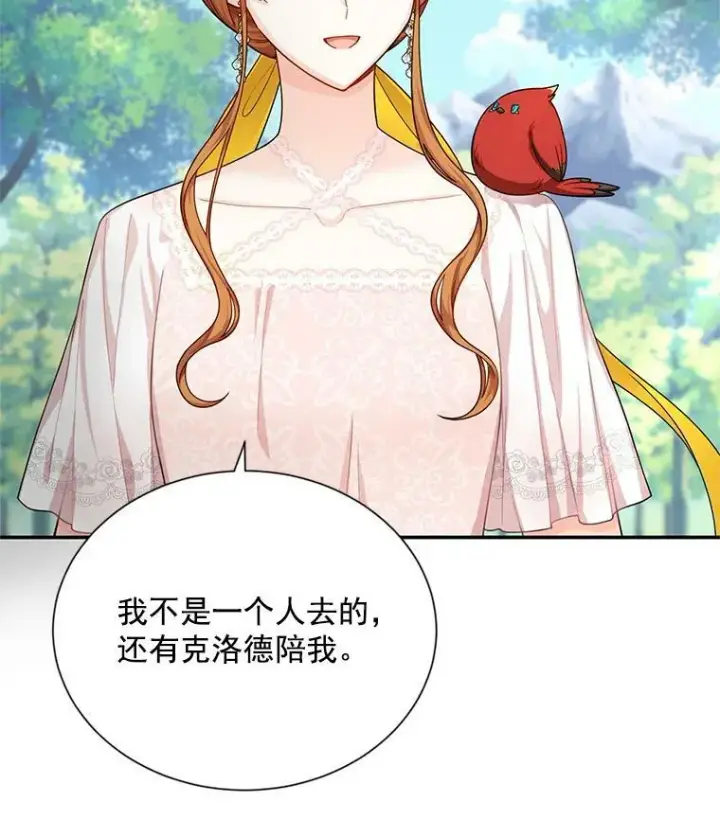 《虚名的公爵之妻》47.公主来信图53
