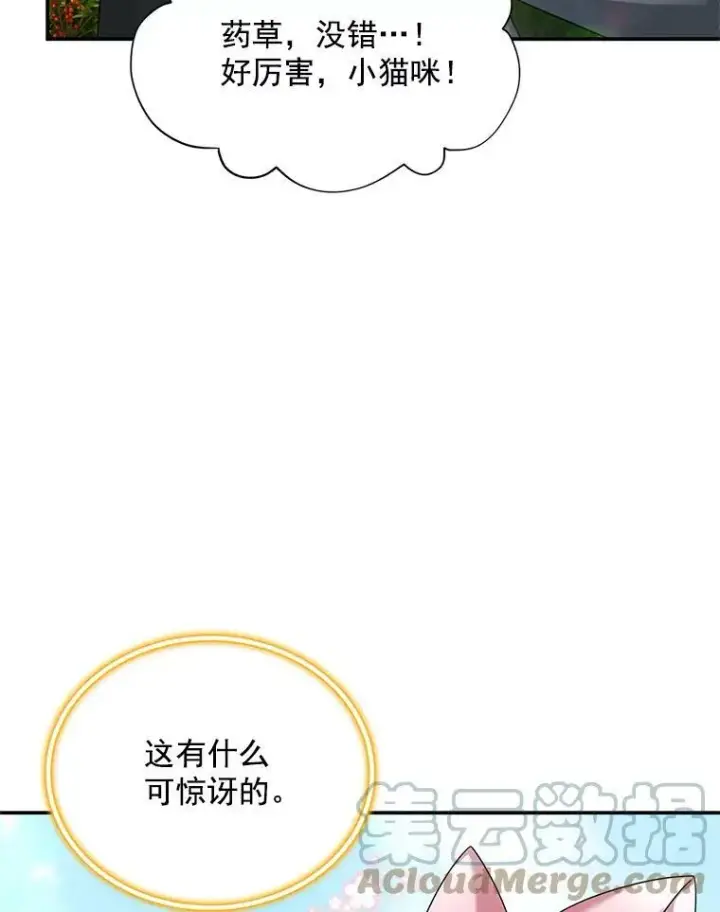 《虚名的公爵之妻》51.治疗剂图45
